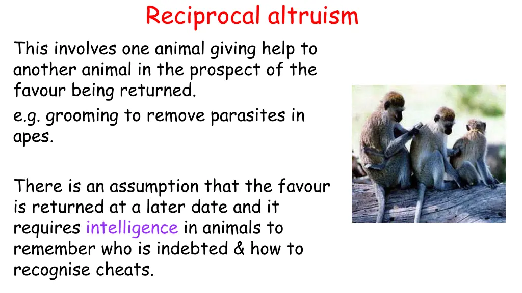 reciprocal altruism 1