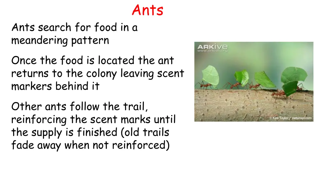 slide23