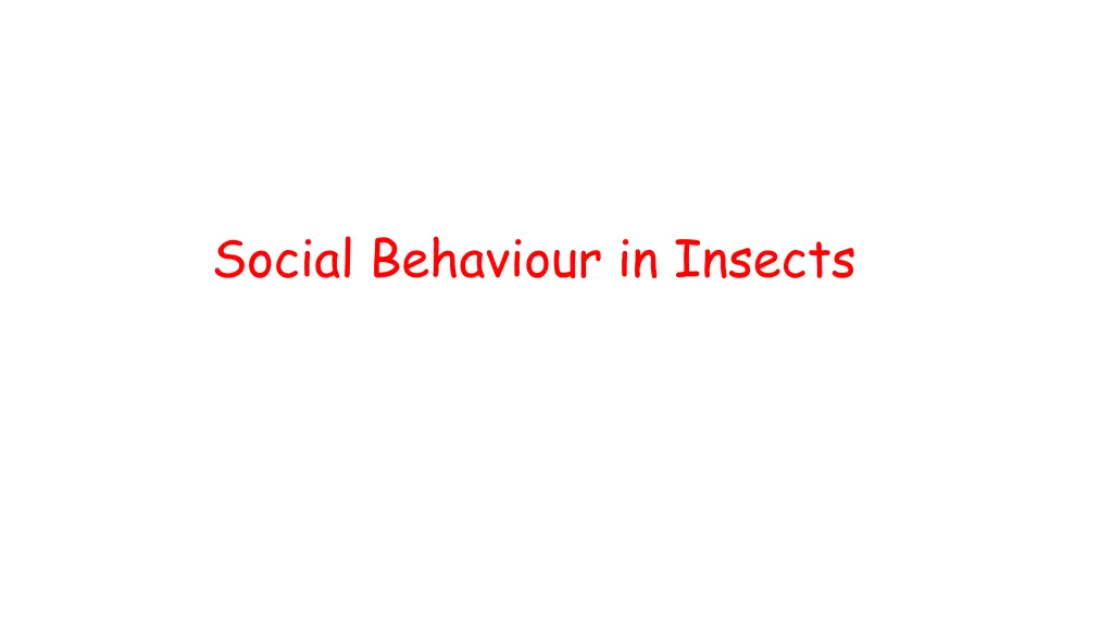 social behaviour in insects