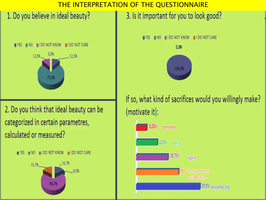 the interpretation of the questionnaire