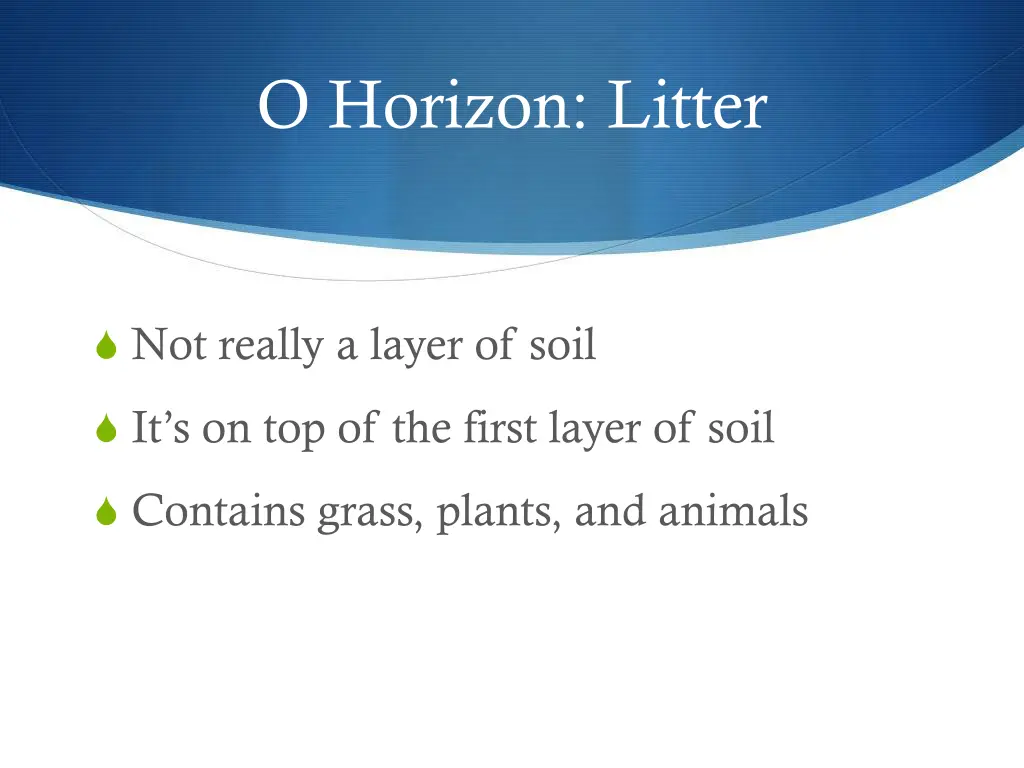 o horizon litter