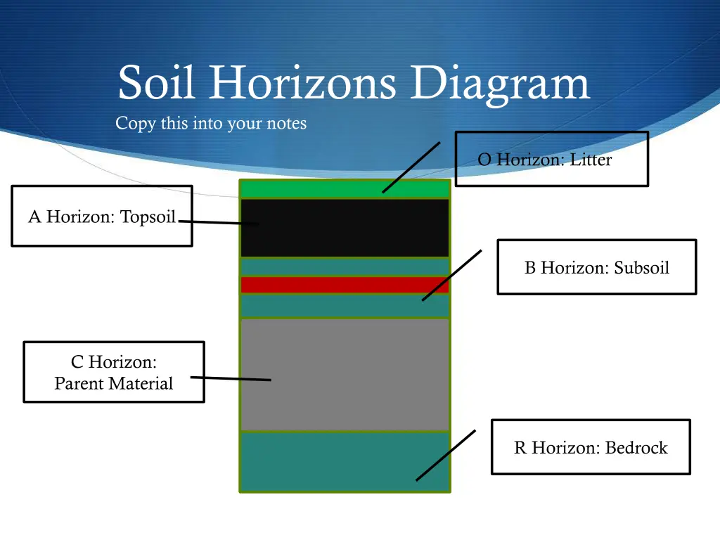 soil horizons diagram copy this into your notes