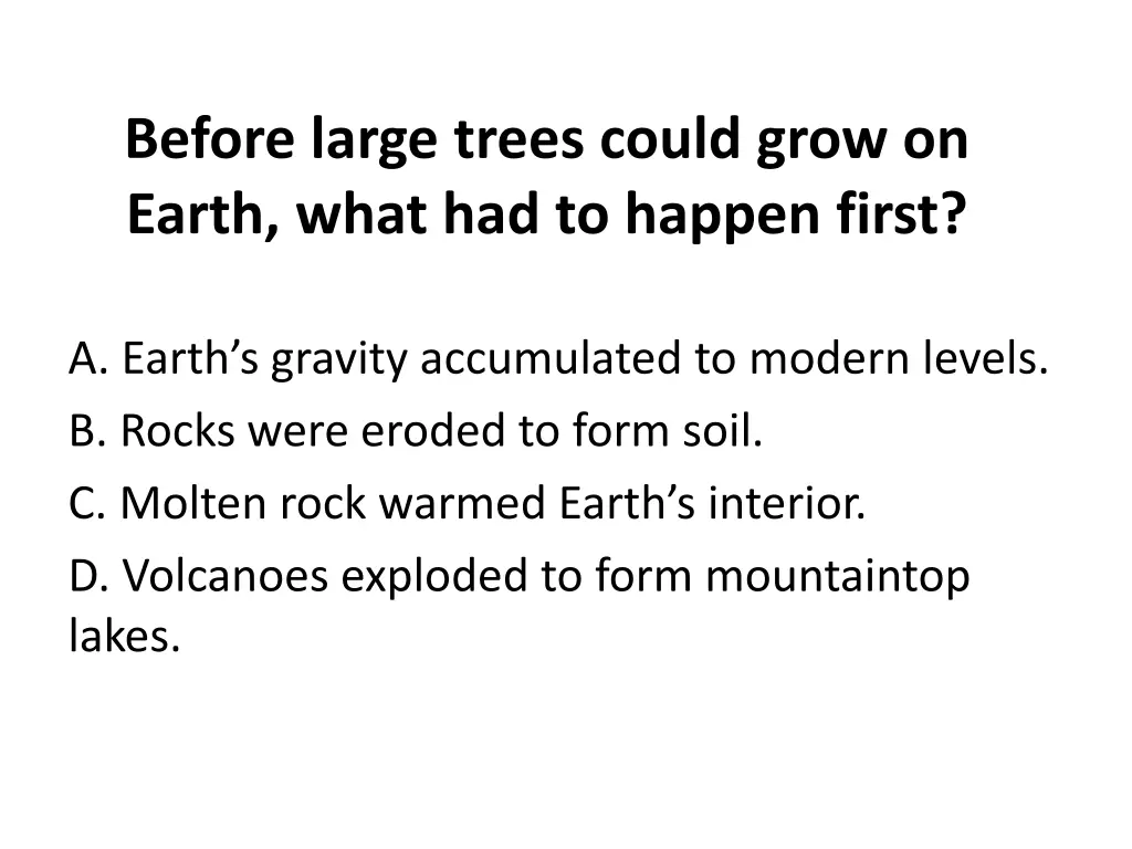 before large trees could grow on earth what