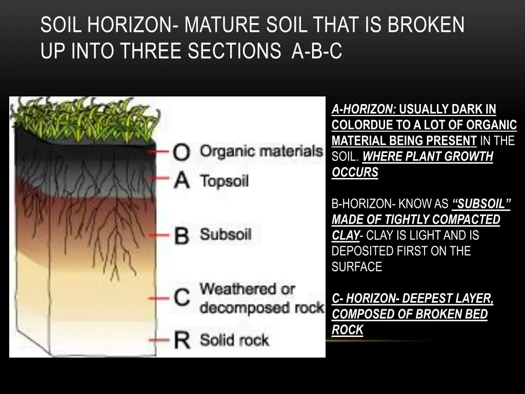 soil horizon mature soil that is broken up into