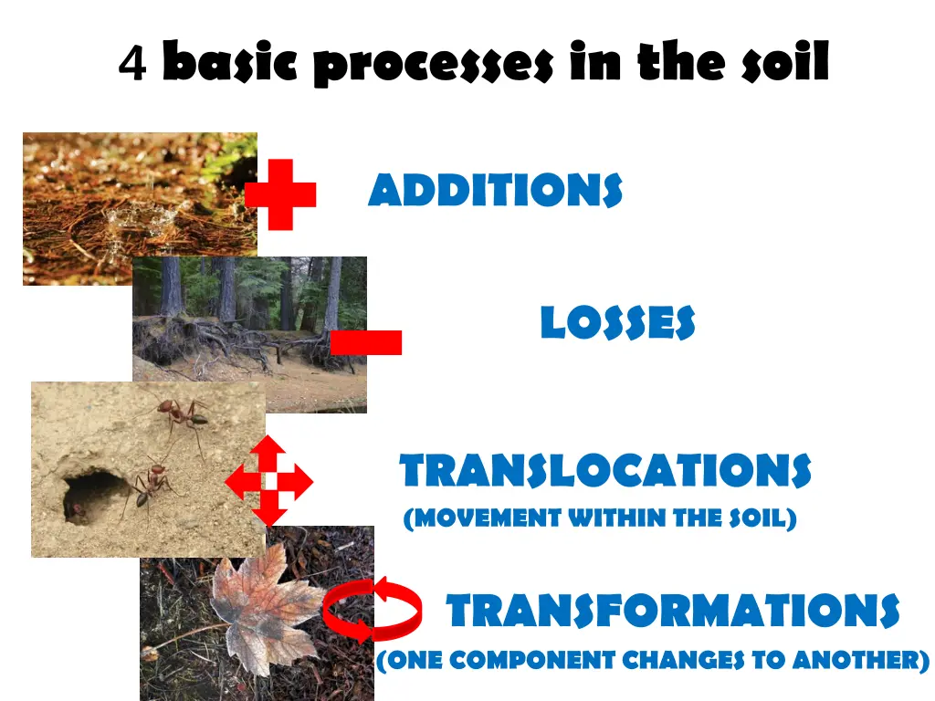 4 basic processes in the soil