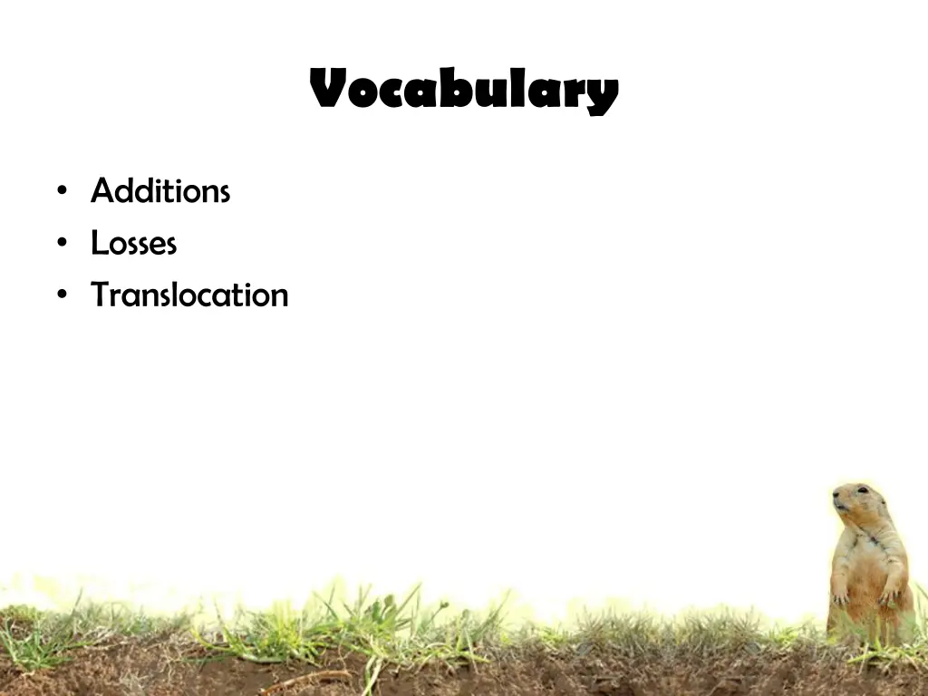 vocabulary 1