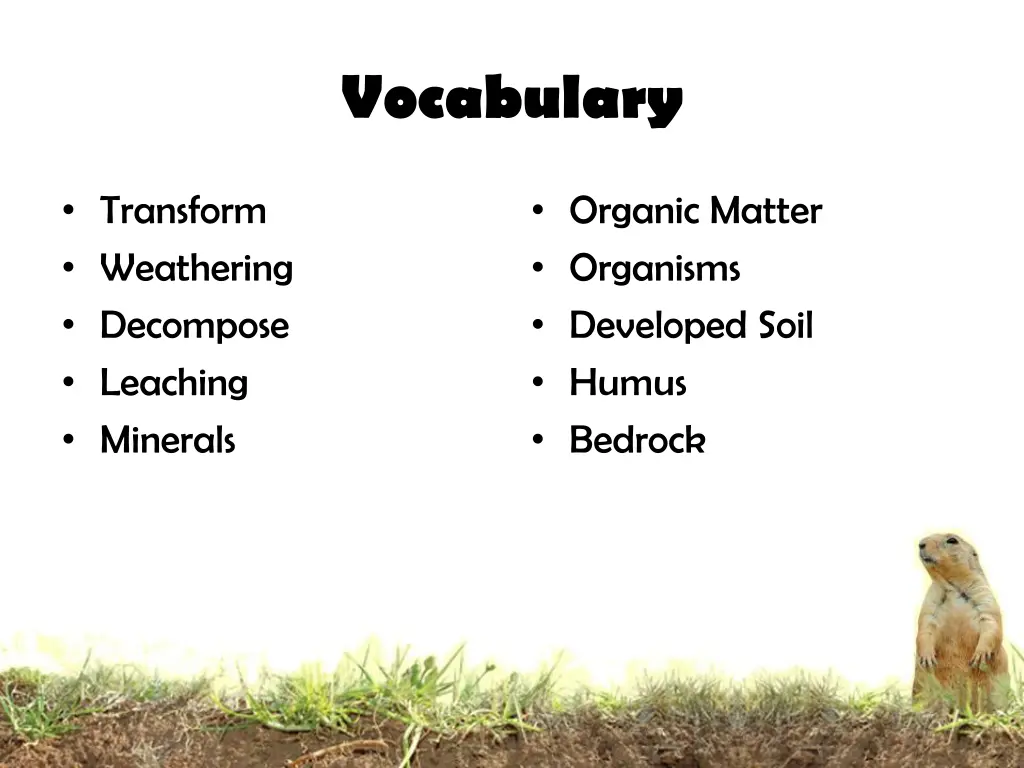 vocabulary