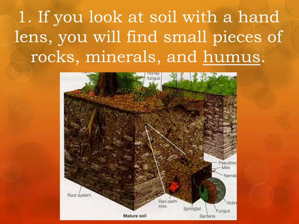 1 if you look at soil with a hand lens you will