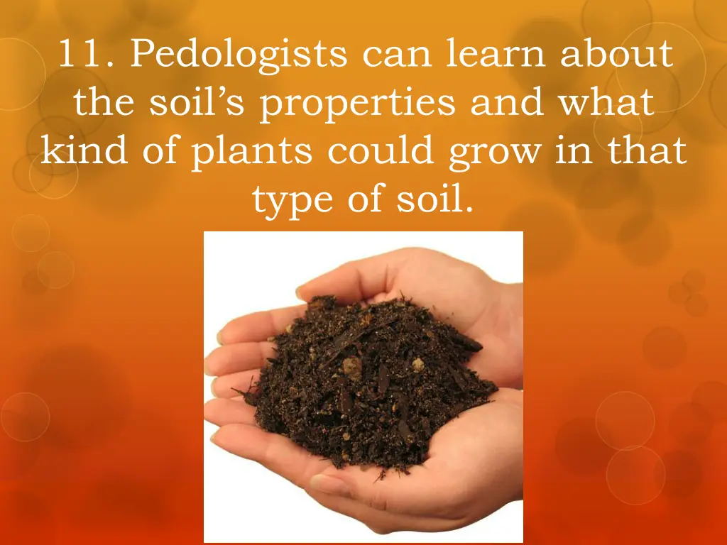 11 pedologists can learn about the soil