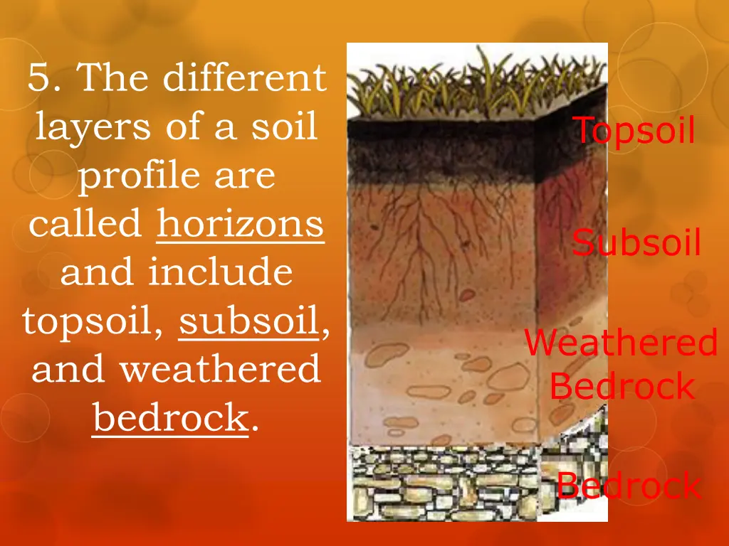 5 the different layers of a soil profile