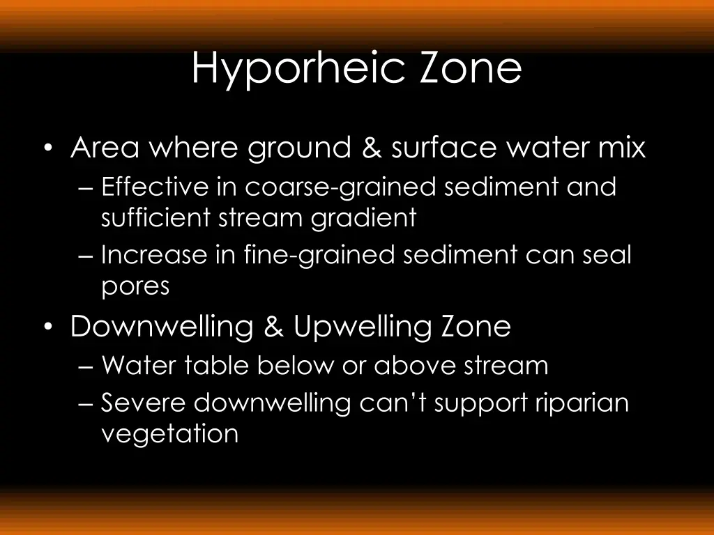 hyporheic zone