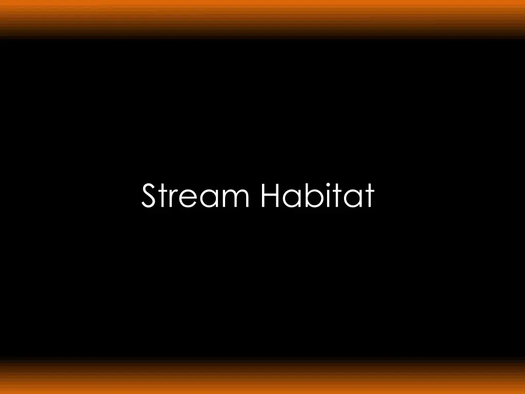 stream habitat