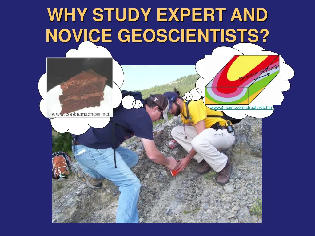 why study expert and novice geoscientists