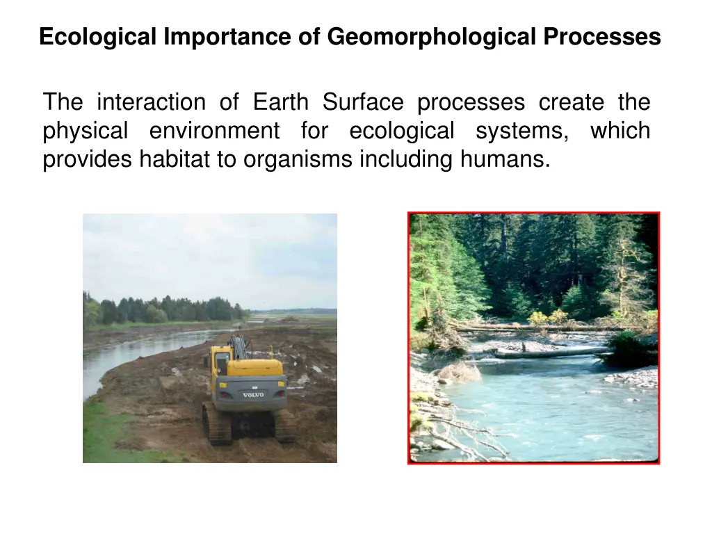 ecological importance of geomorphological