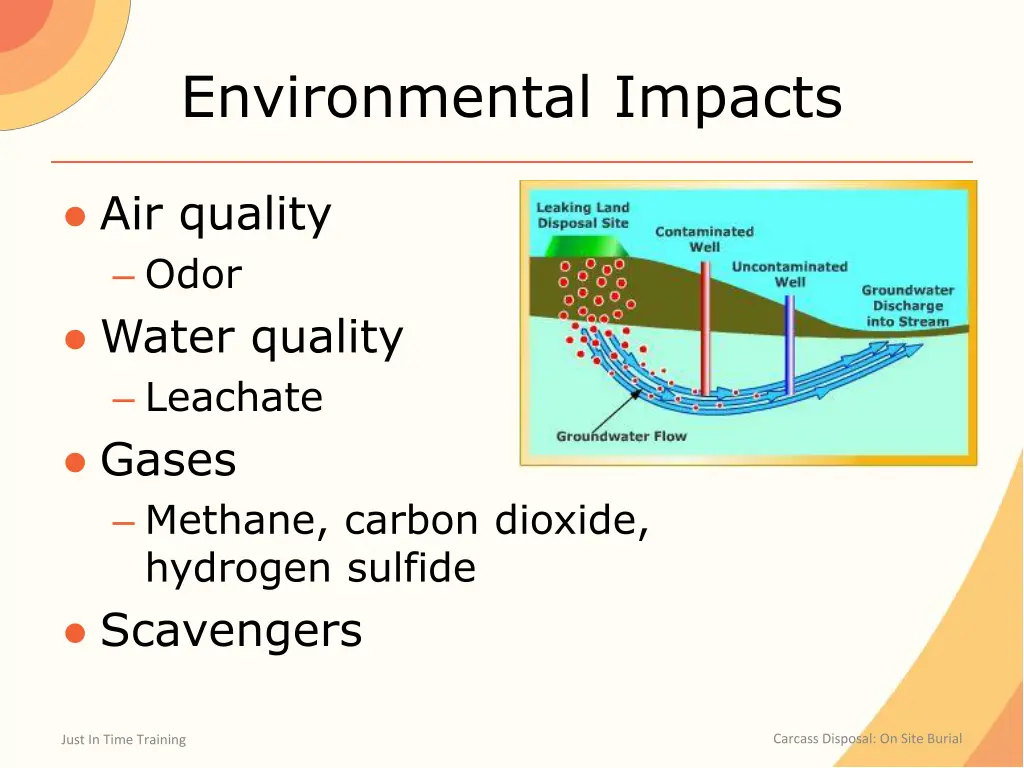 environmental impacts