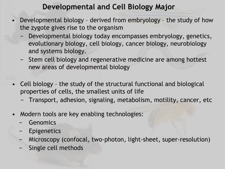 developmental and cell biology major