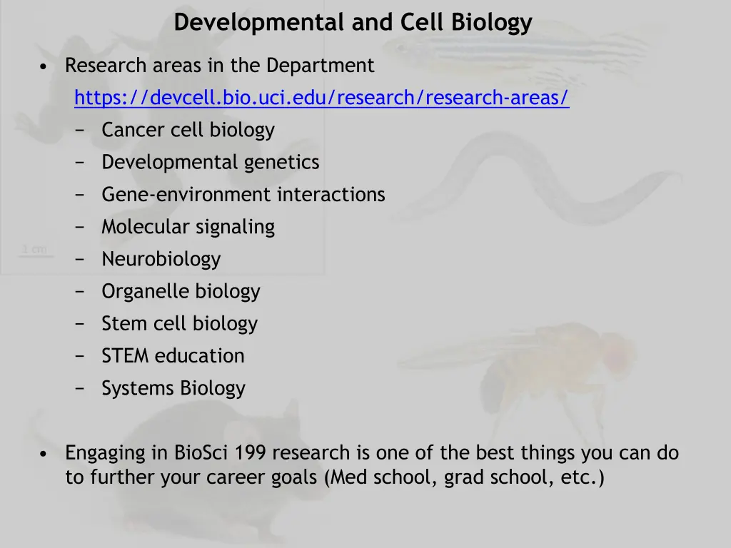 developmental and cell biology