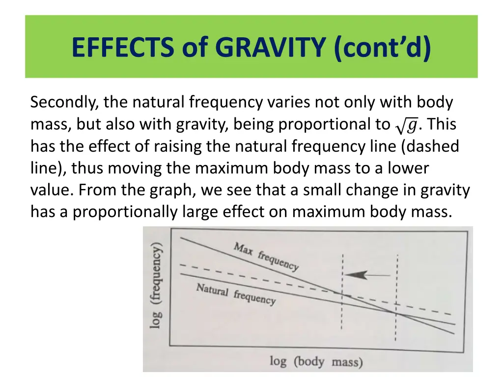 effects of gravity cont d