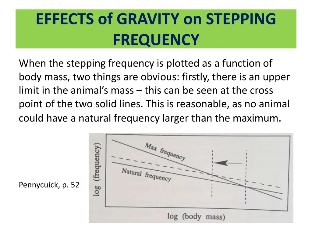 effects of gravity on stepping frequency