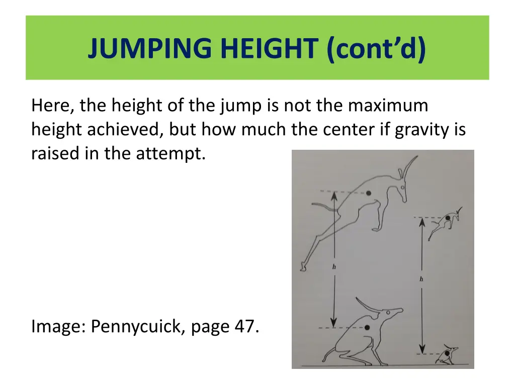 jumping height cont d 1