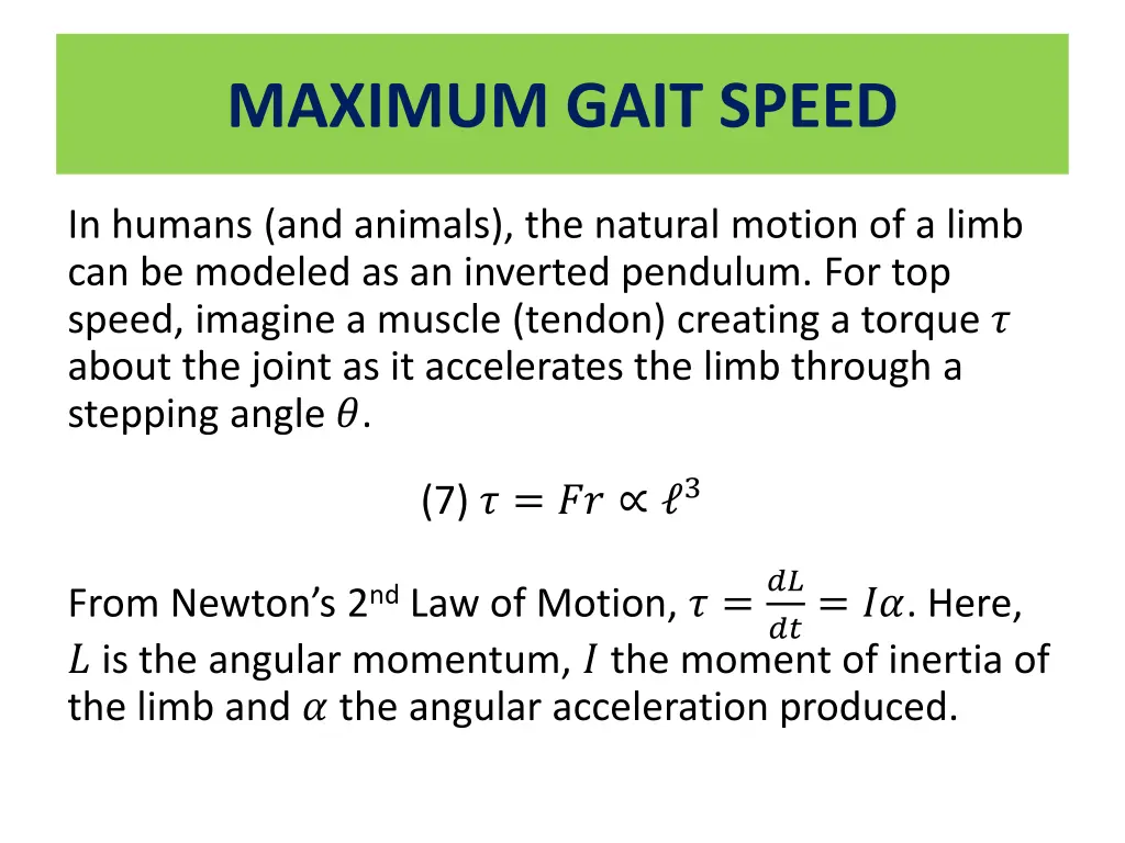 maximum gait speed