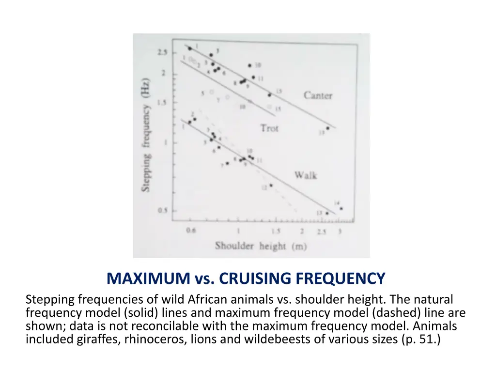 maximum vs cruising frequency stepping