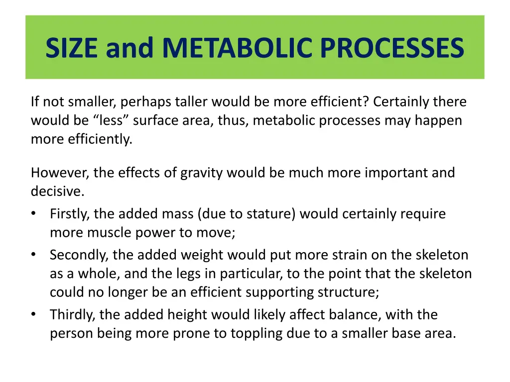 size and metabolic processes 1