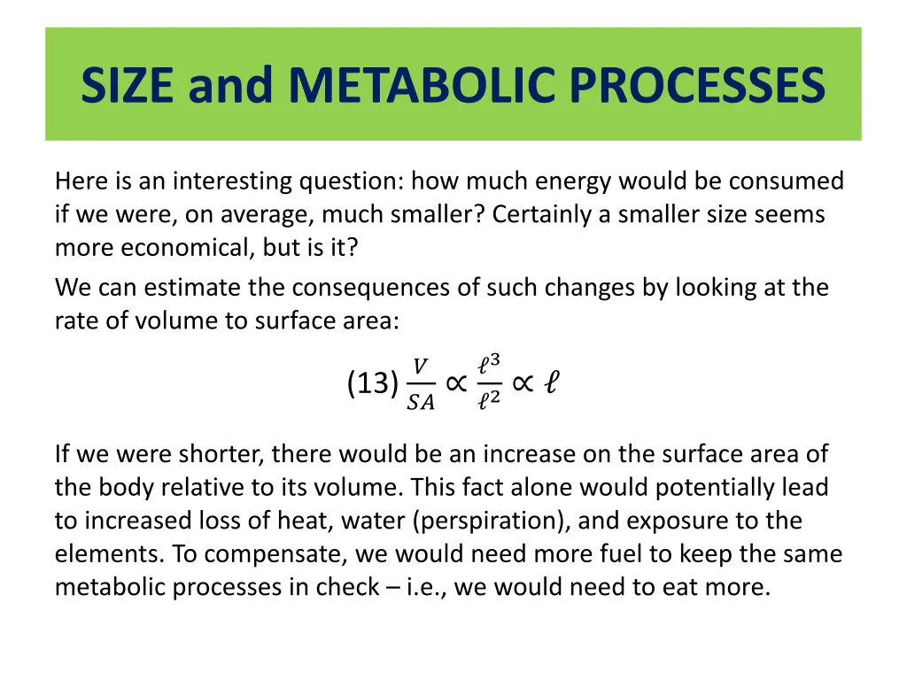 size and metabolic processes