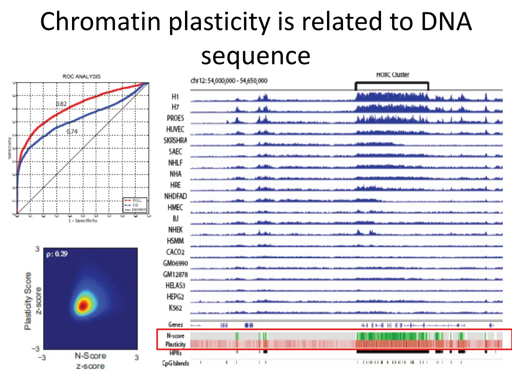 chromatin plasticity is related to dna sequence