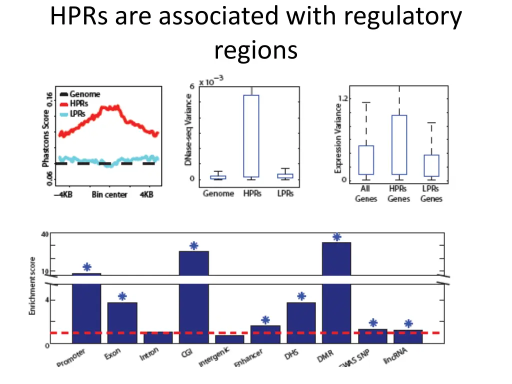 hprs are associated with regulatory regions