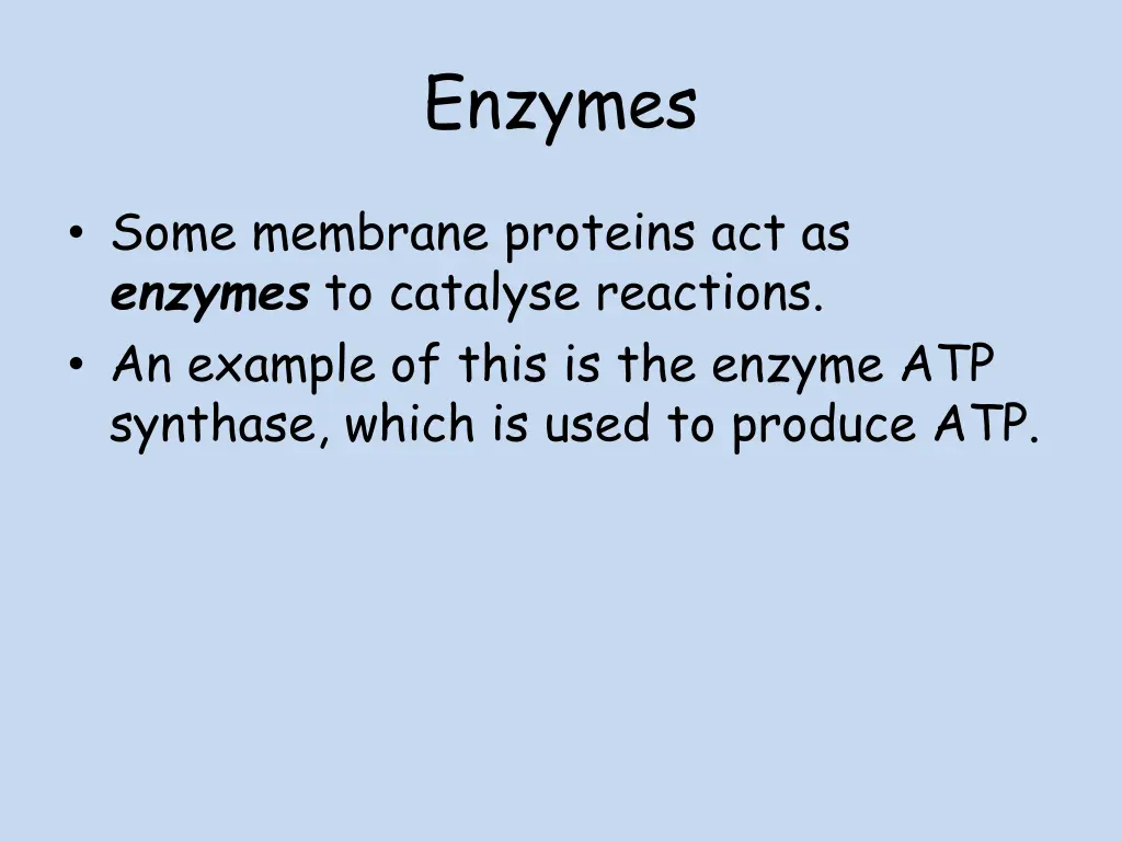 enzymes