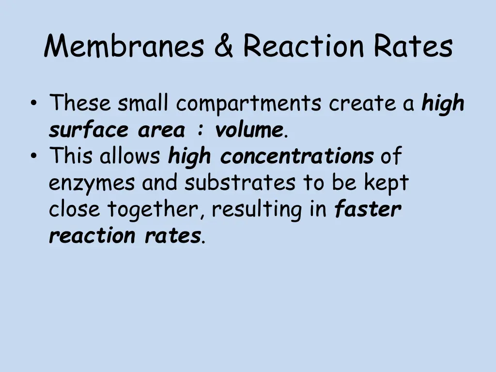 membranes reaction rates