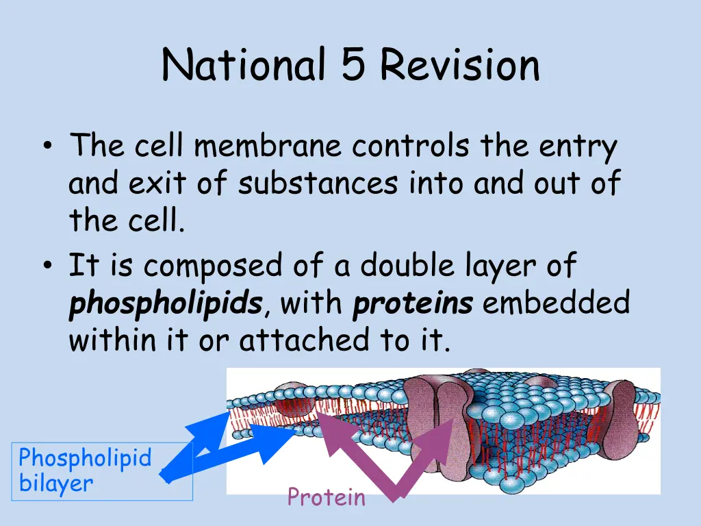 national 5 revision 2