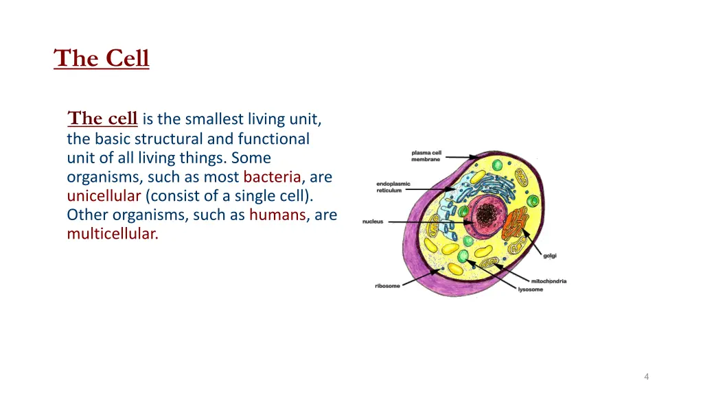 the cell 1