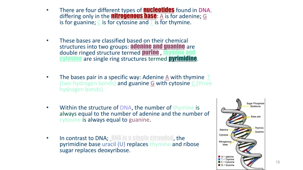 there are four different types of nucleotides