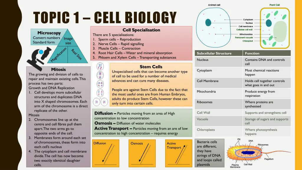 topic 1 cell biology