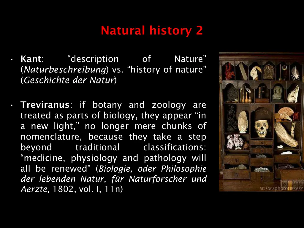 natural history 2