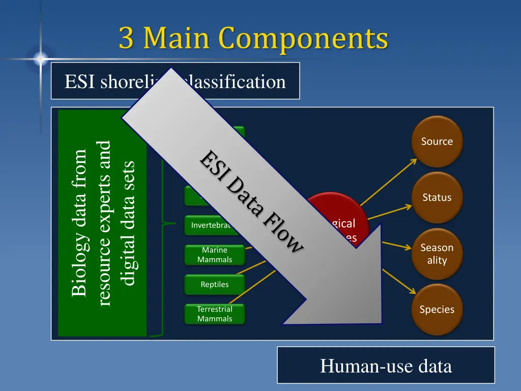 3 main components 1