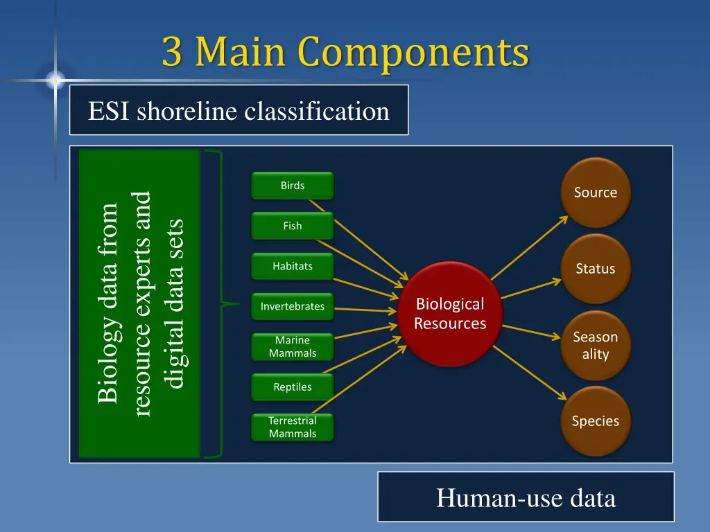 3 main components