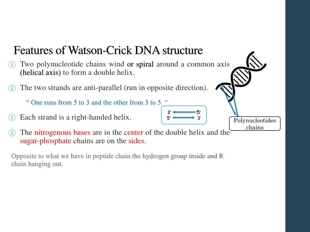 features of watson crick dna structure