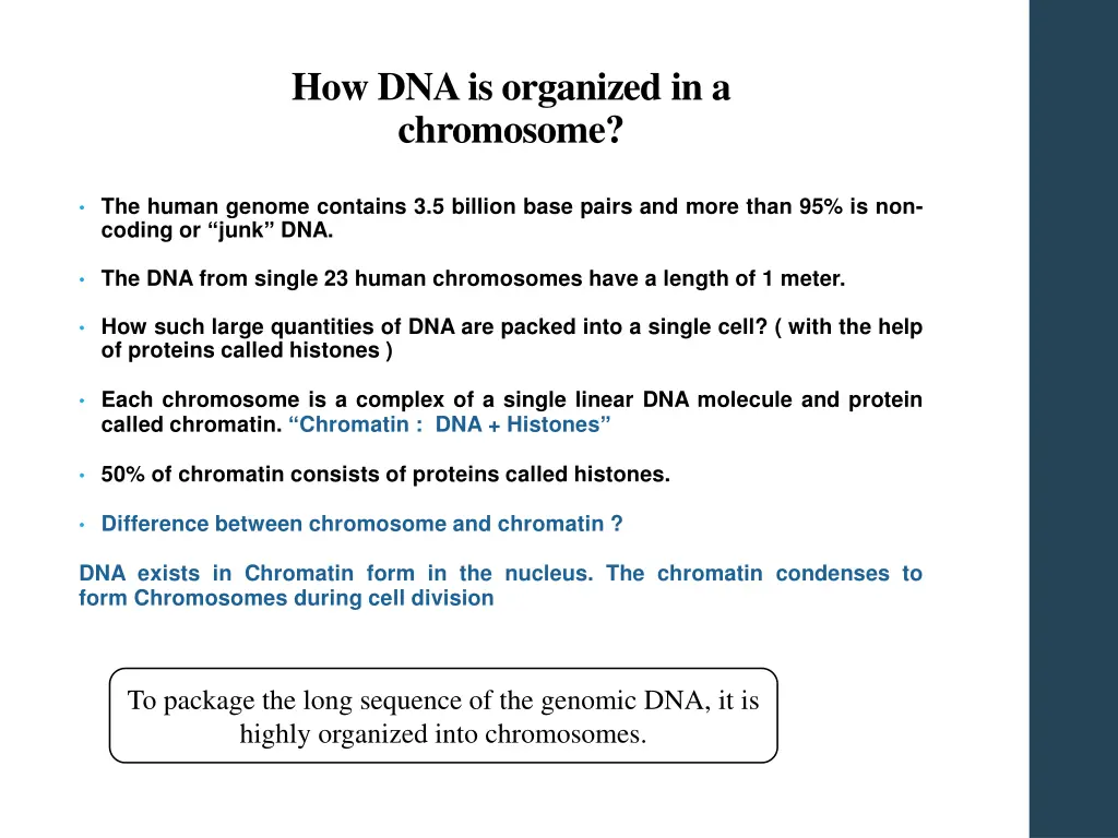 how dna is organized in a chromosome