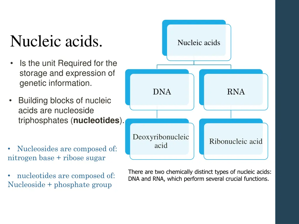 nucleic acids