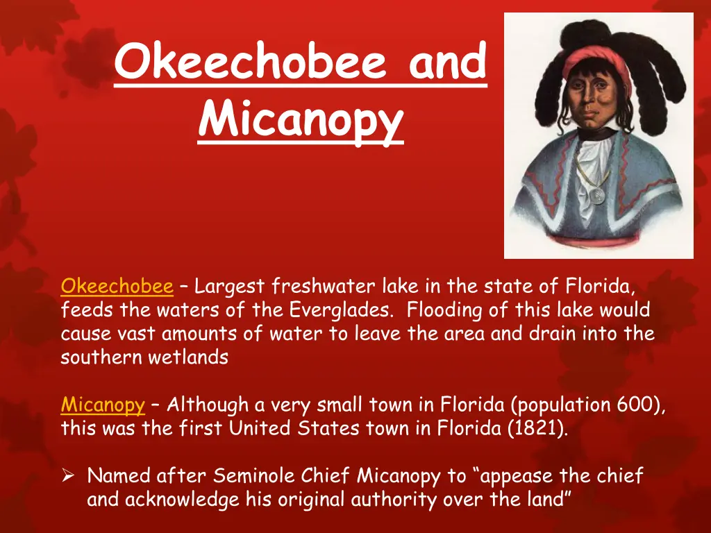 okeechobee and micanopy