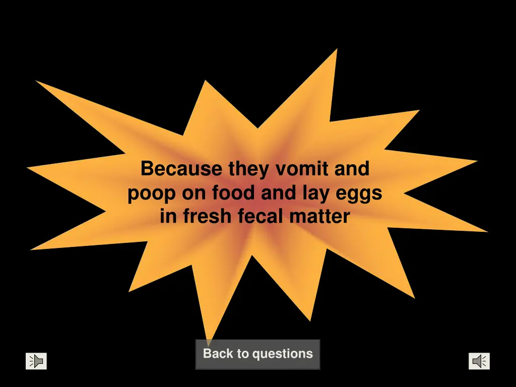 because they vomit and poop on food and lay eggs