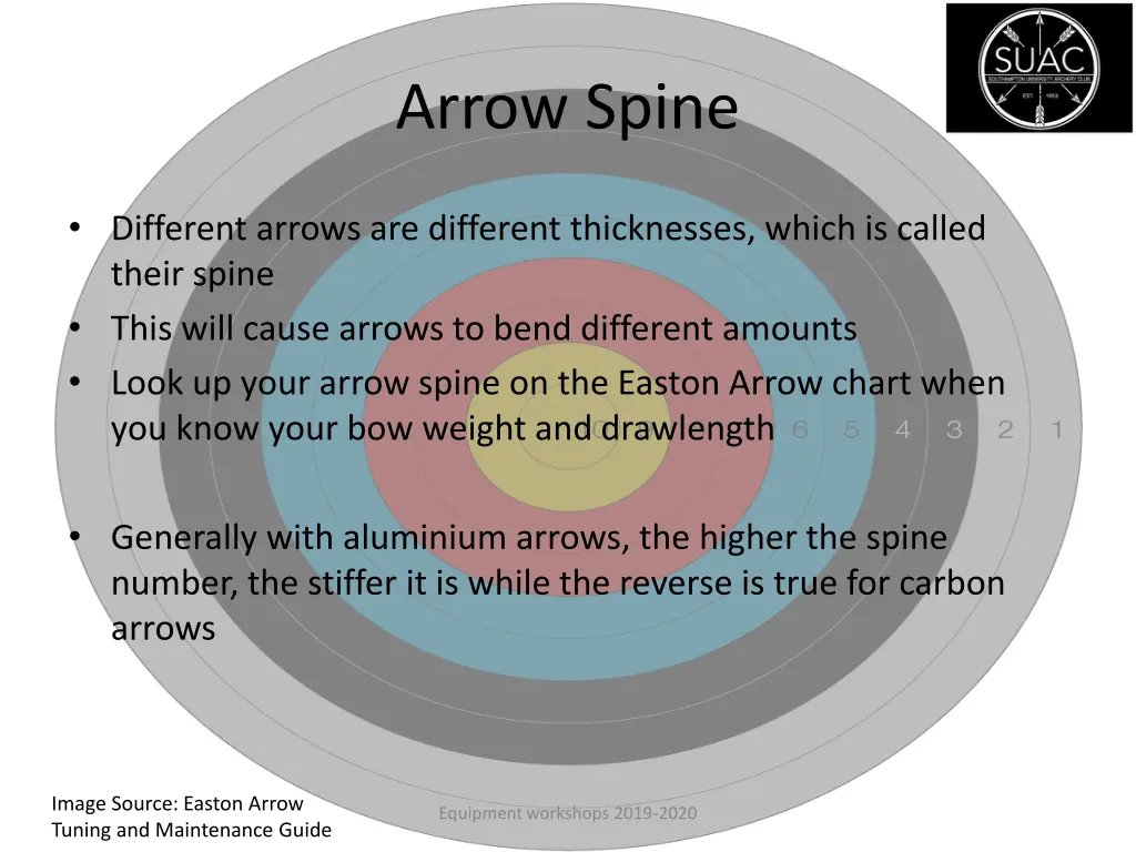 arrow spine