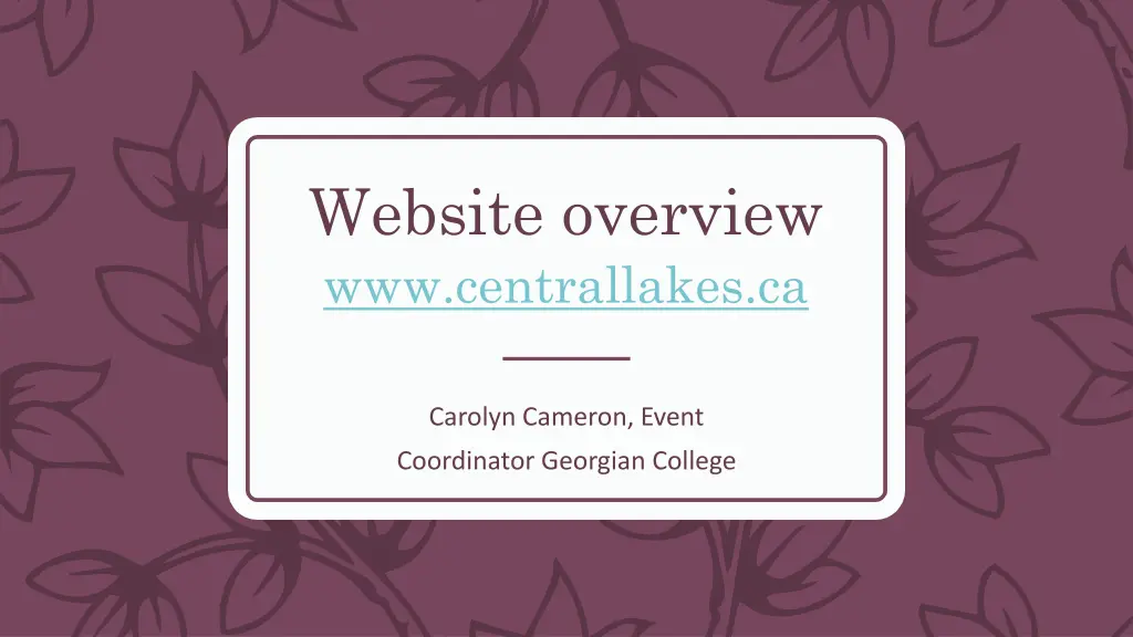 website overview www centrallakes ca