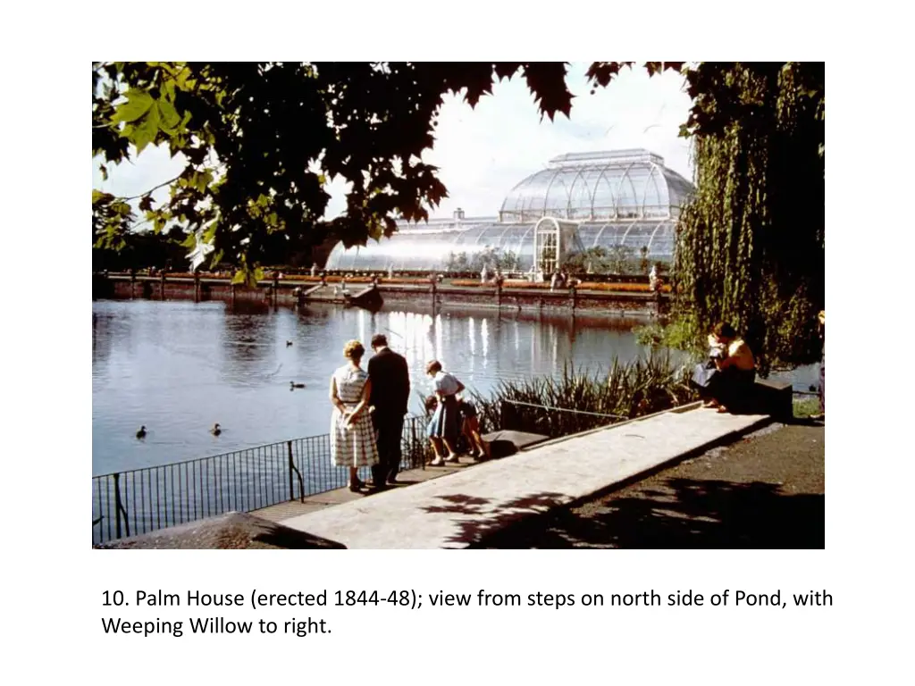 10 palm house erected 1844 48 view from steps