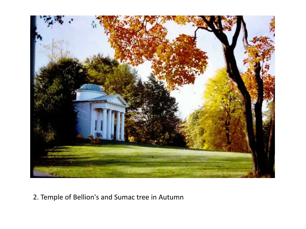 2 temple of bellion s and sumac tree in autumn