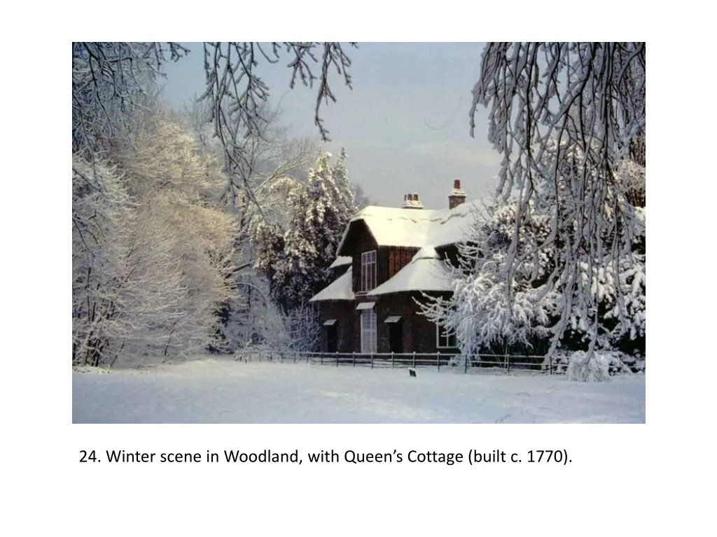 24 winter scene in woodland with queen s cottage