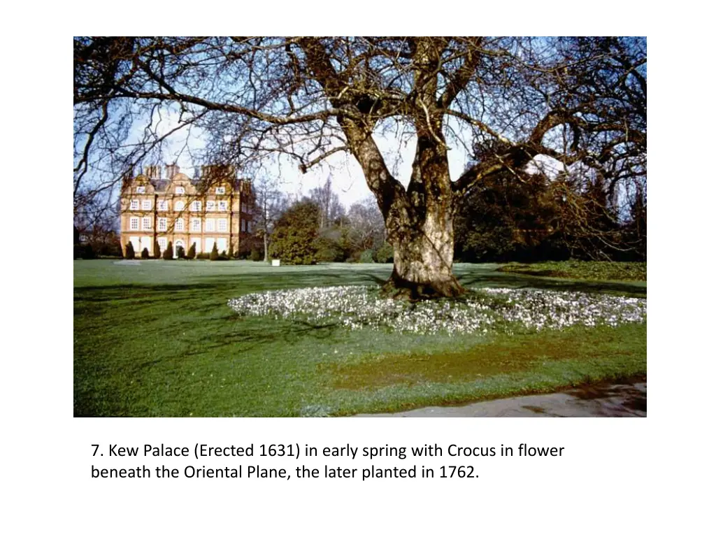 7 kew palace erected 1631 in early spring with